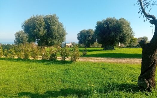 Luminosa villa in campagnaNel territorio di Polignano, in zona periferica ma comodamente raggiungibile e a soli 3 km da Polignano a mare, proponiamo in vendita questa affascinante villetta singola, un’oasi di tranquillità immersa nella natura.